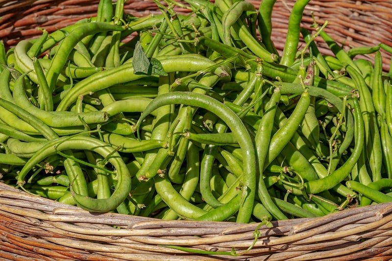 Summer Vegetables